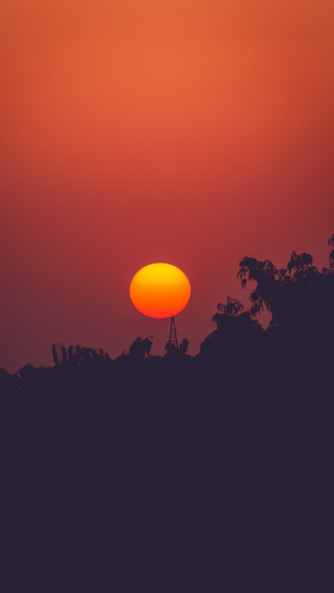 Colors of India (4) screenshot