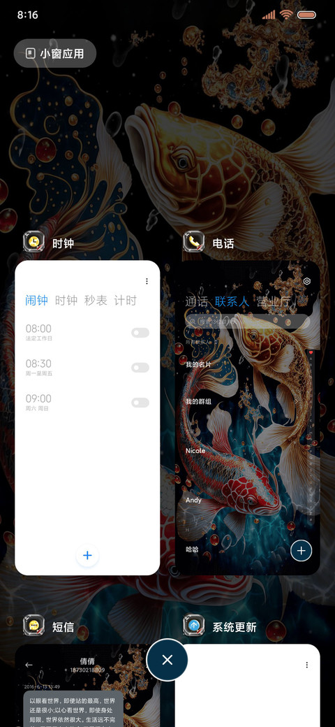 锦鲤成双 多换图 screenshot
