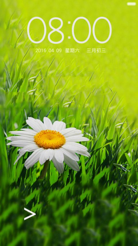 清新菊 screenshot