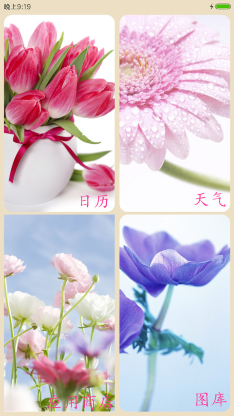 百花仙子 screenshot