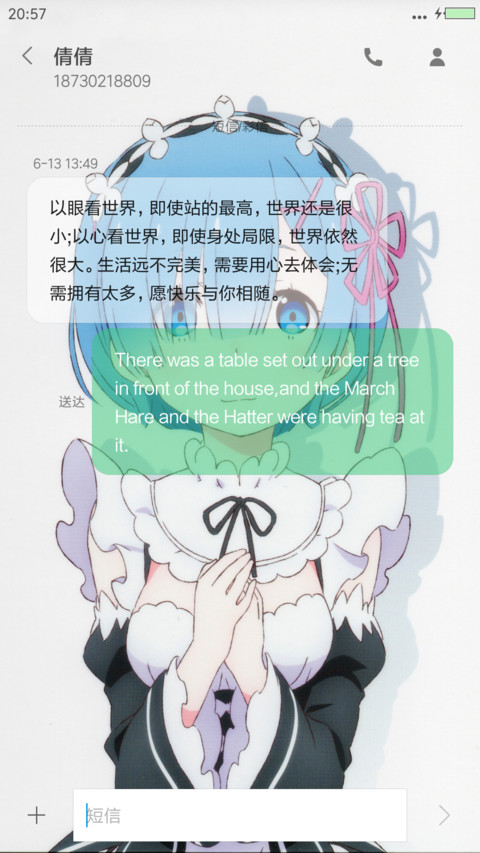 从零开始的异世界生活 雷姆（动态微笑锁屏+全图标） screenshot