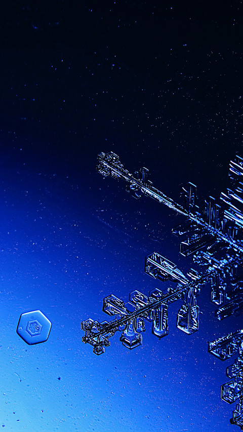 Winter illustration-04 screenshot
