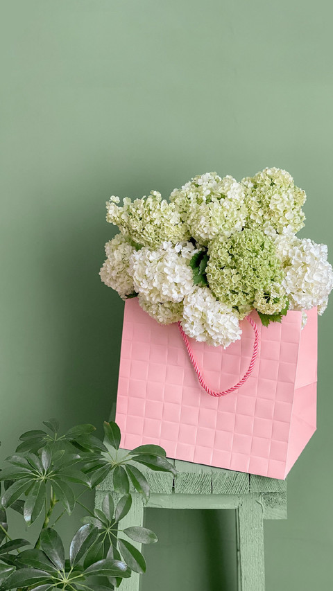 最打动人心的隐藏花语 screenshot