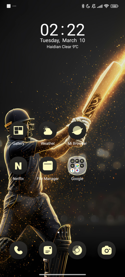 Dream Cricket screenshot