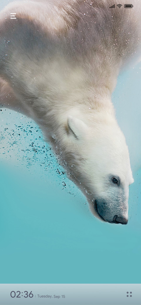 Polar screenshot
