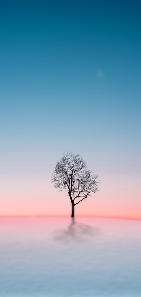 简·圆 screenshot