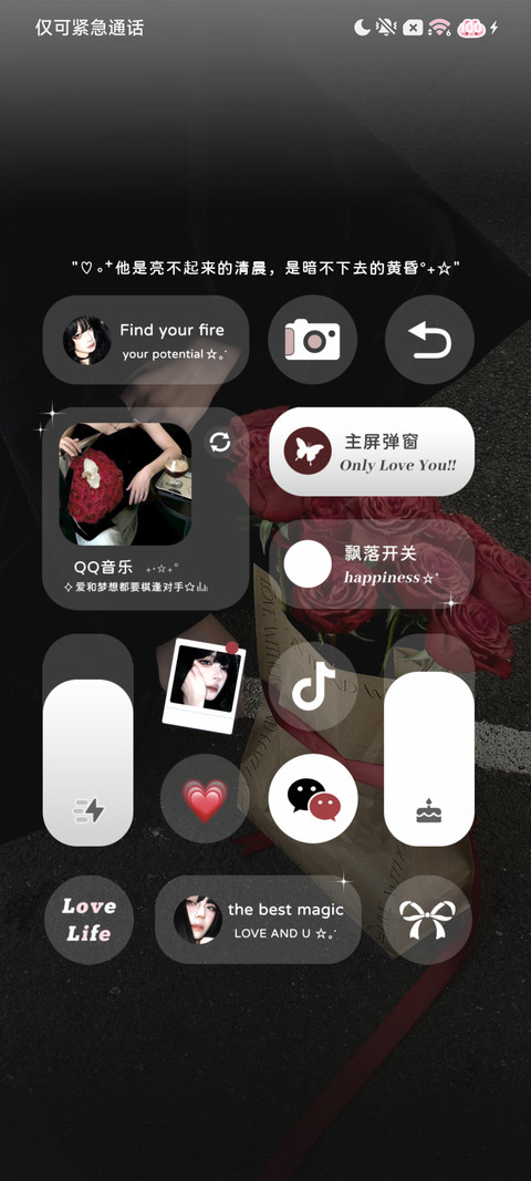 玫瑰藏匿爱意 screenshot