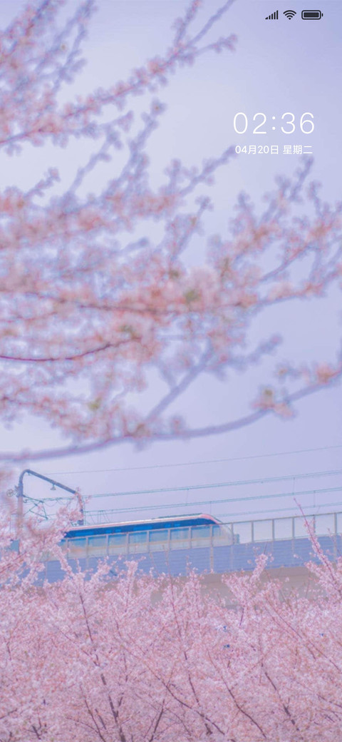 落樱五厘米 screenshot