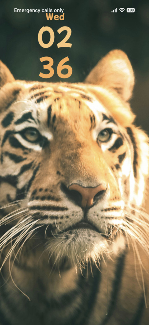 Tiger screenshot