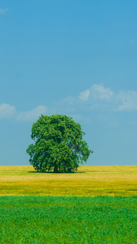 Eye protection and fresh grass screenshot