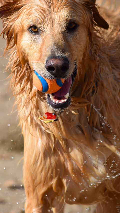 112280_1440x2560.jpg screenshot