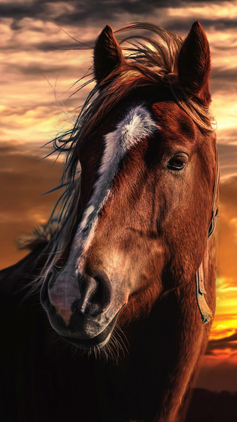 112247_1440x2560.jpg screenshot