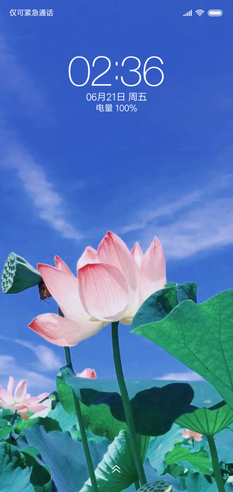 夏日 荷花 screenshot
