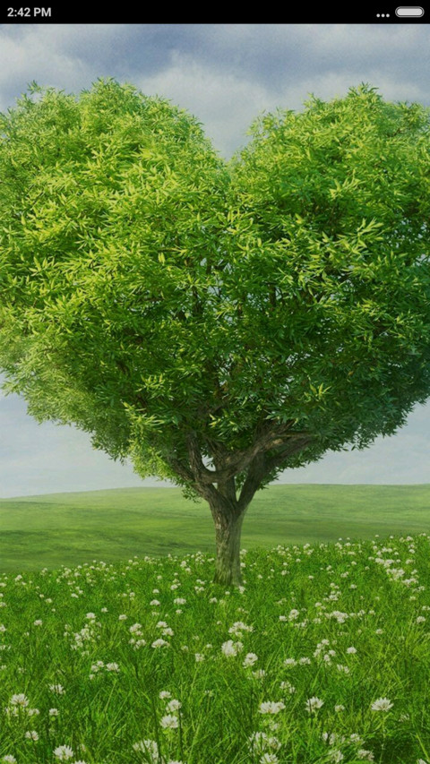 Green Mood screenshot
