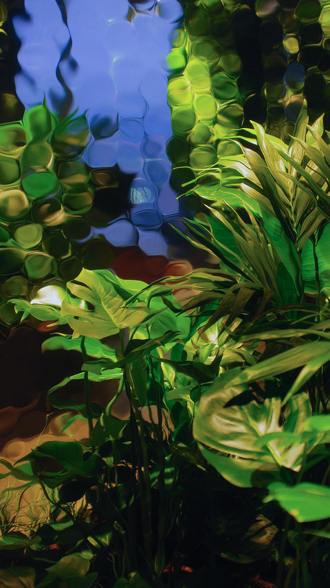 植物肖像 screenshot