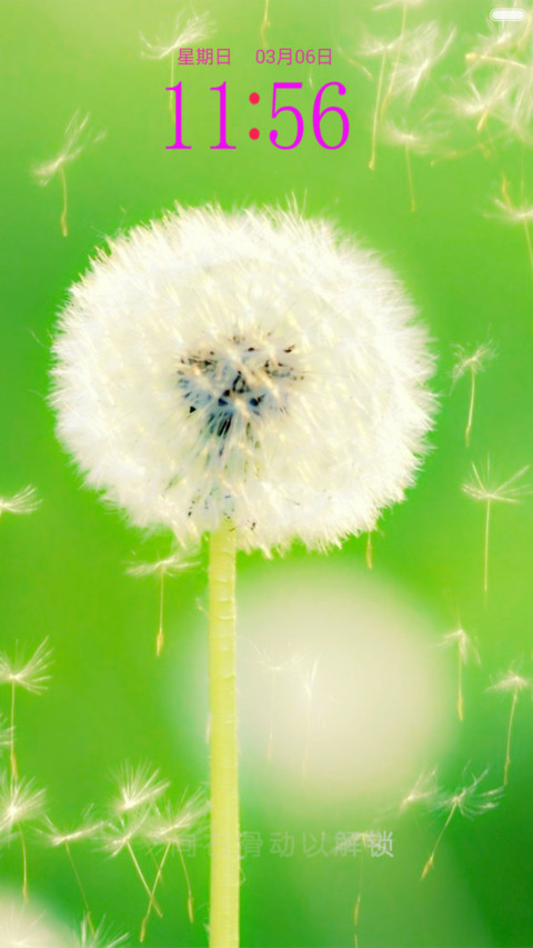 蒲公英 screenshot