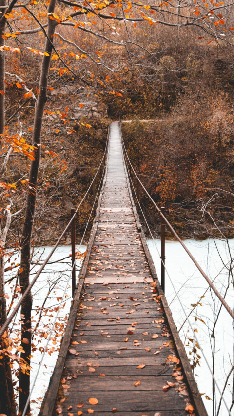 Bridges Of Life (22) screenshot
