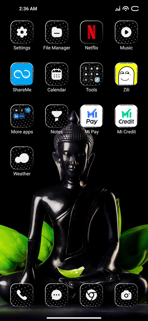 Buddha Leaf screenshot