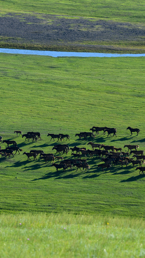 Ten thousand horses gallop across the spring fields screenshot
