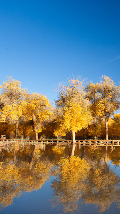 Four Most Beautiful Autumn Places in China 7 screenshot