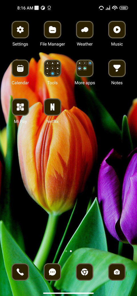 Tulips screenshot
