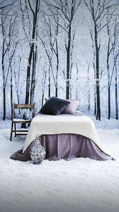 The charm of cool color home decor screenshot
