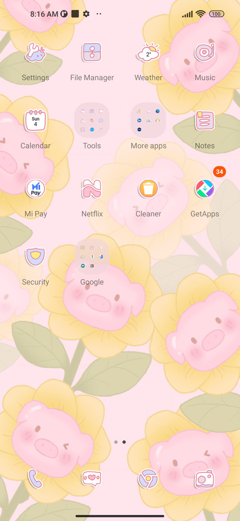 Healing sun pig screenshot