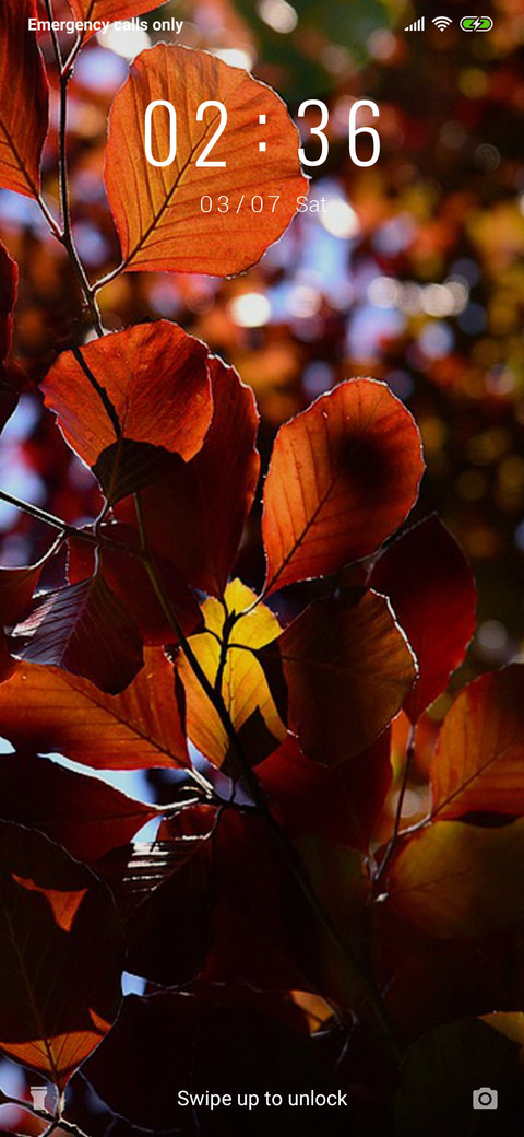 BrownLeaves_3MDP screenshot