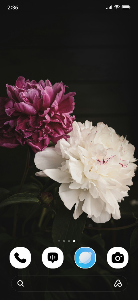 Peony Duo screenshot