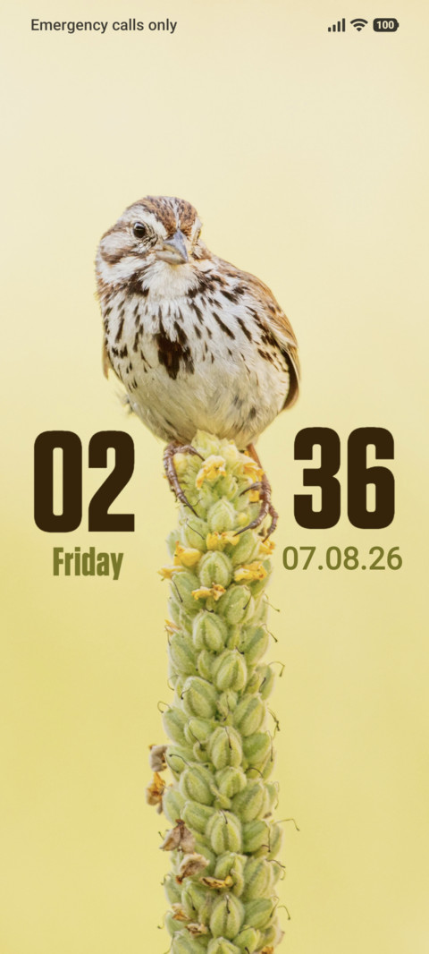 Sparrow screenshot