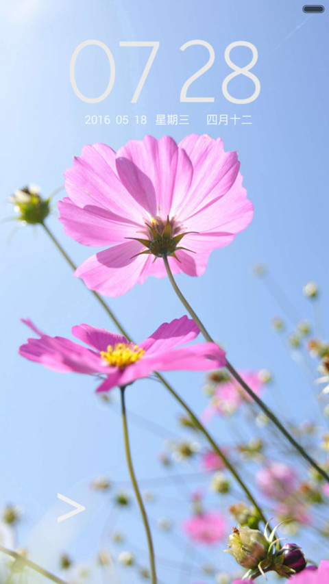 简约格桑花 screenshot