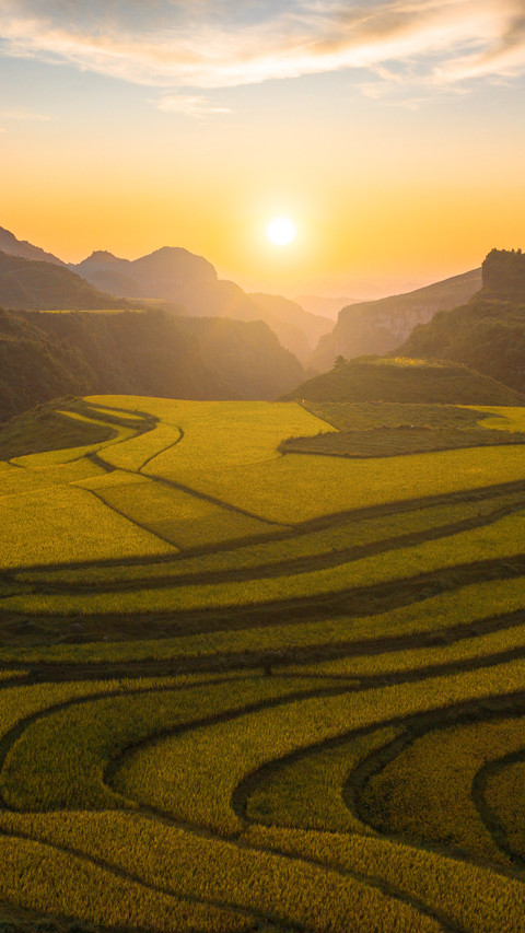 The terraced fields are bathed in the glow of the sunset screenshot