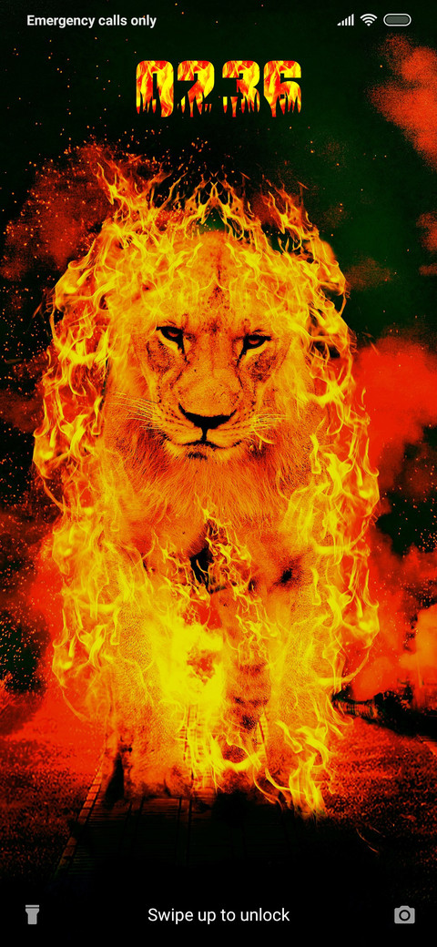 Lion King_DWM20 screenshot