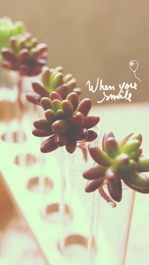 Plant word screenshot