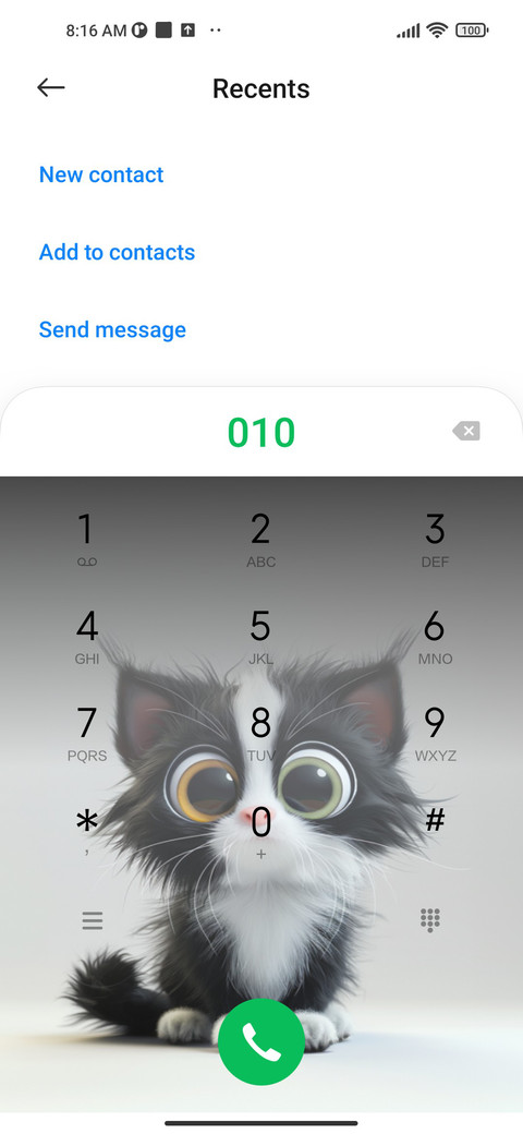 fluffy cat screenshot