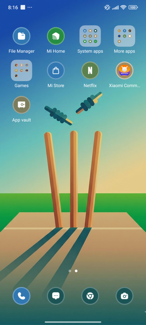 Clean Bowled  screenshot