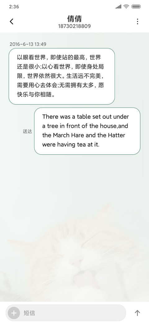 我是一橘猫 screenshot