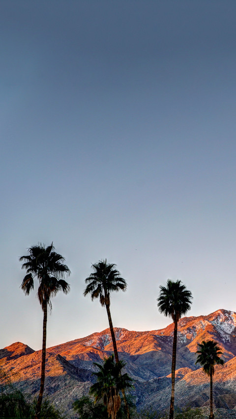 Palm Springs Urban Life at Sunrise screenshot