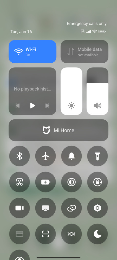 Cute Avocado screenshot