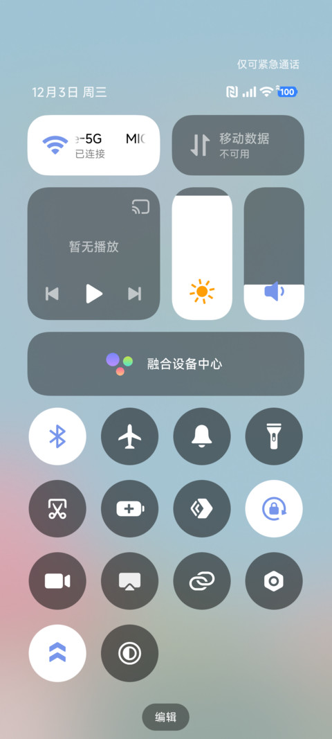 元宝和饭团一树樱花 screenshot