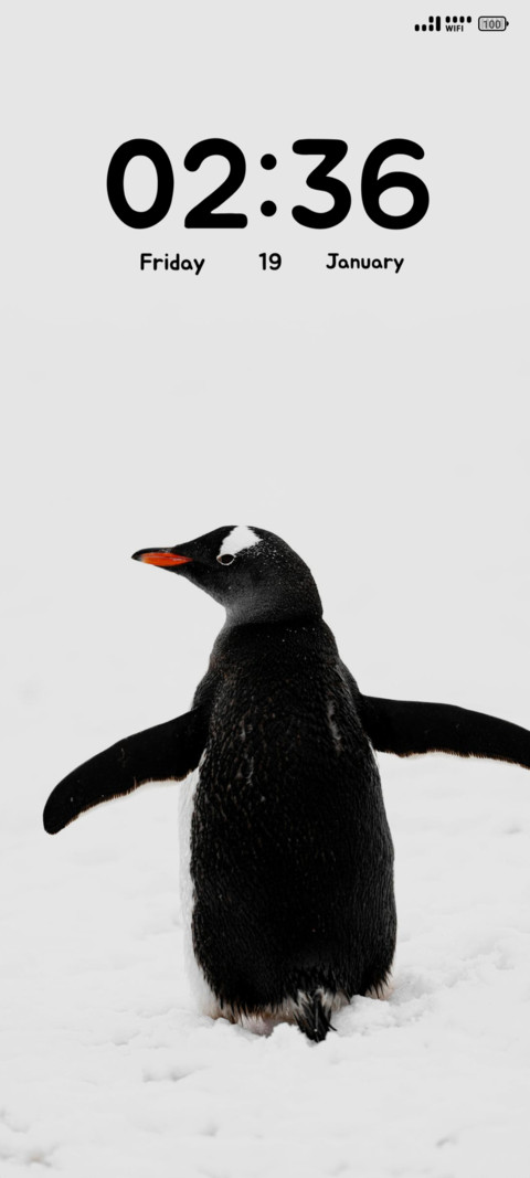 Gentoo Penguin screenshot