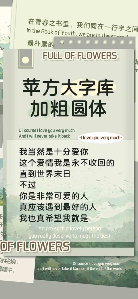 苹方大字库加粗圆体 screenshot