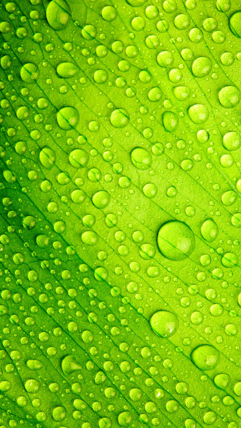 Green eye protection wallpaper screenshot