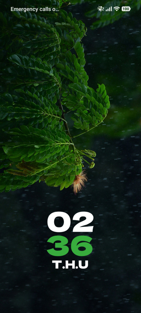 Dew Leaf screenshot