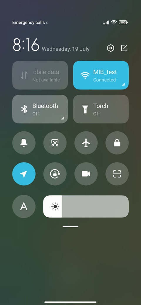 Green Butterfly screenshot