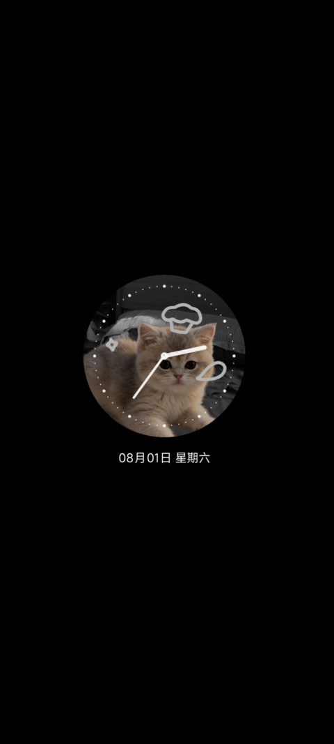 ins 小猫电台 screenshot