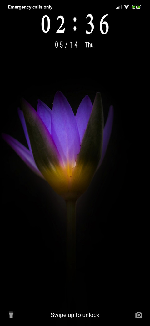 Water Lily_3MDS screenshot