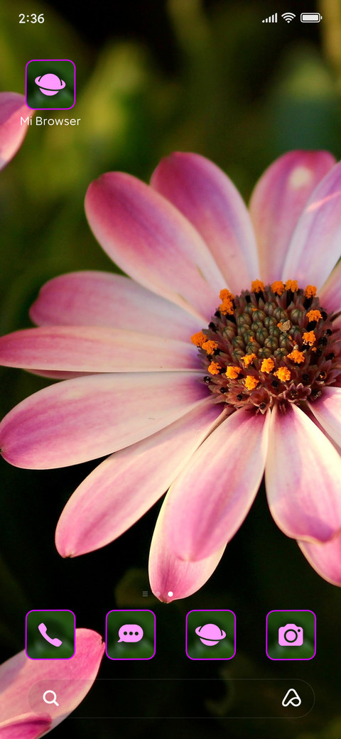 daisy soft screenshot