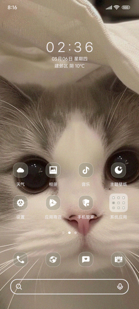 手提袋里可爱猫猫 screenshot