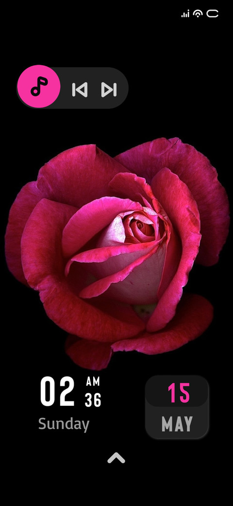 Black Rose screenshot